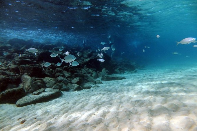 Discover Scuba Diving in Lanzarote (Costa Teguise) - Why the small group matters