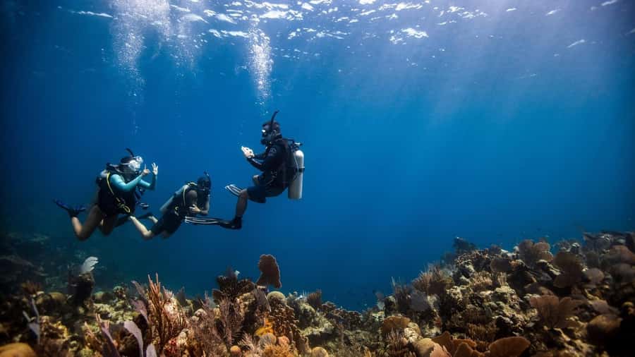 DISCOVER SCUBA DIVING IN LEMORNE with EasydiveMauritius - What the $159 experience really gives you