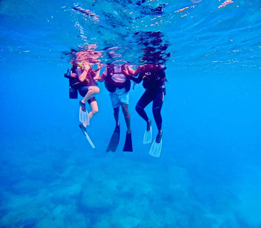 DISCOVER SCUBA DIVING IN LEMORNE with EasydiveMauritius - A good fit for curious beginners