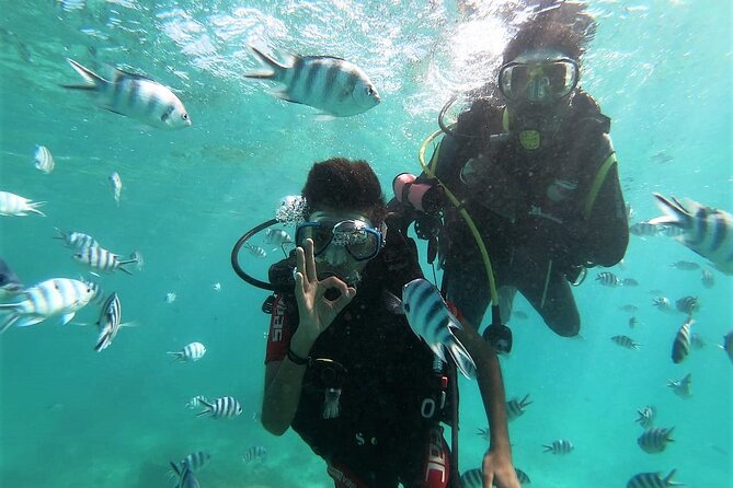 Discover Scuba Diving in Mauritius - Key points to know before you book