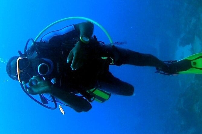 Discover Scuba Diving in Montego Bay-ONE Tank (First time Diving) - What you may see underwater