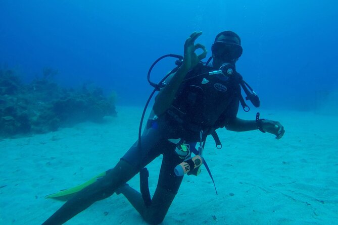 Discover Scuba Diving in Montego Bay-ONE Tank (First time Diving) - The real value of the $169.99 price