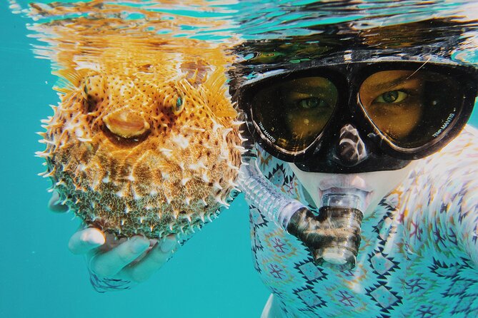 Discover Scuba Diving in Montego Bay-ONE Tank (First time Diving) - Practice time before the open-water session