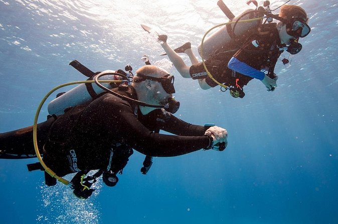 Discover Scuba Diving in Montego Bay-TWO Tank (First time Diving) - Meeting at Jimmy Cliff Avenue