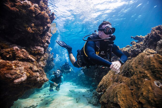 Discover Scuba Diving in Palamos - What makes Palamós a useful setting