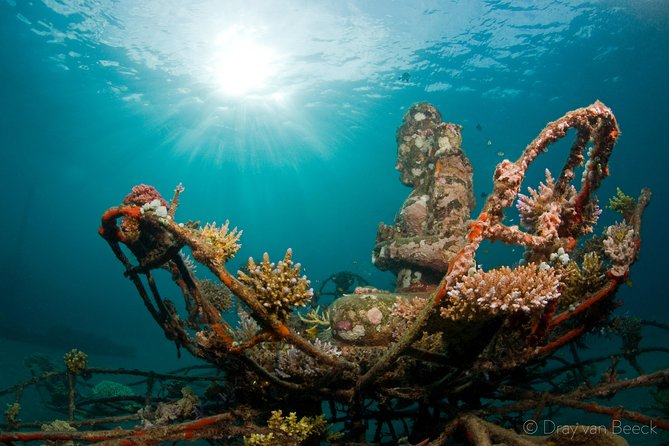 Discover Scuba Diving in Pemuteran at the Biorock site,1 shore dive all included - The morning begins with simple theory