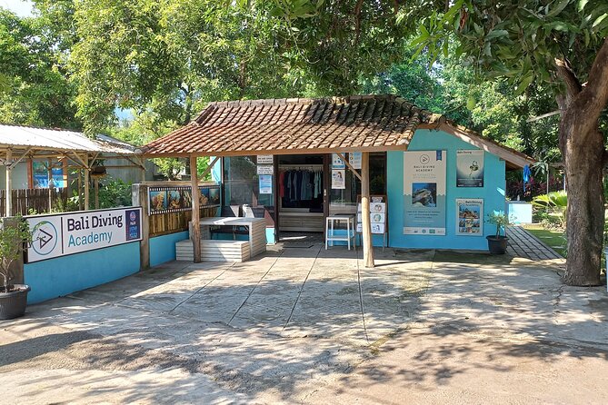 Discover Scuba Diving in Pemuteran at the Biorock site,1 shore dive all included - The Biorock session puts your new skills to work