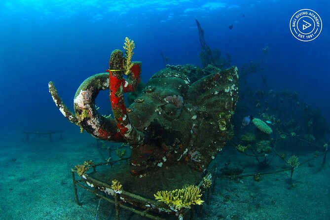 Discover Scuba Diving in Pemuteran at the Biorock site,1 shore dive all included - What the Menjangan Island mention means