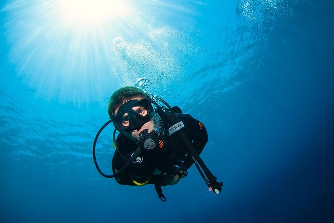 Discover Scuba Diving in Pemuteran - Diving Initiation in Bali (Menjangan Park) - The island break and second session