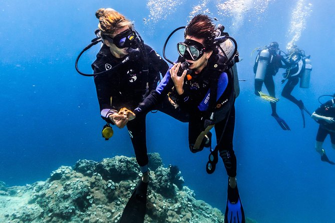 Discover Scuba Diving in Pemuteran - Diving Initiation in Bali (Menjangan Park) - Starting at Dive Concepts Pemuteran