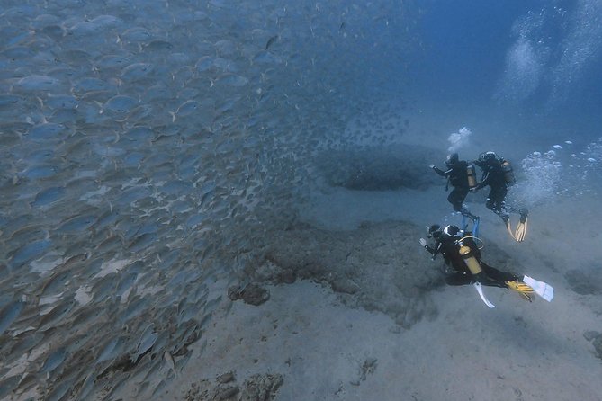 Discover Scuba Diving in Puerto de Mogan - The open-water session is the main event