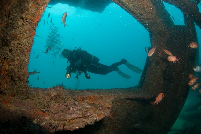 Discover Scuba Diving in Sal - The afternoon boat trip and Atlantic session