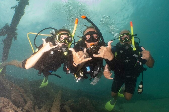 Discover Scuba Diving in San Juan - What happens during the two-hour experience