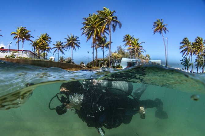 Discover Scuba Diving in San Juan - What you may see below the surface