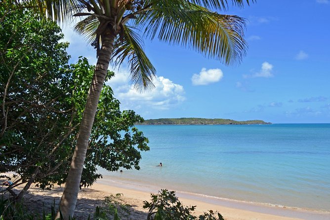 Discover Scuba Diving in San Juan: Perfect for First-Time Divers - What the instructors do well