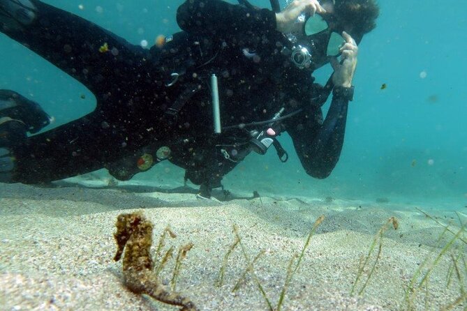 Discover Scuba Diving in San Juan - The instruction matters more than the scenery