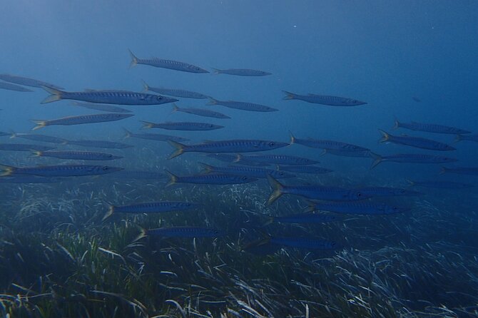 Discover Scuba Diving in Santorini - The training video and first equipment check