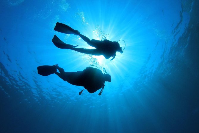 Discover Scuba Diving in Tenerife - Meeting the instructors in Abades