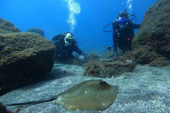 Discover Scuba Diving in Tenerife - Seeing La Caleta beneath the surface