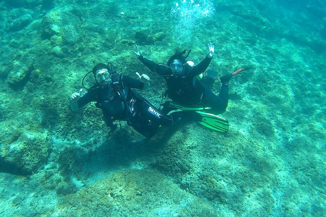 Discover Scuba Diving in Tenerife - Weather, visibility, and realistic expectations