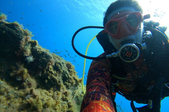 Discover Scuba Diving in Tenerife - Who will enjoy this most