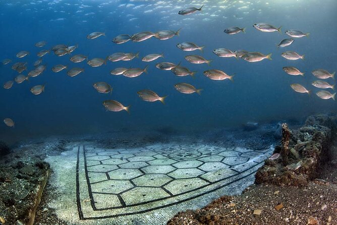 Discover Scuba Diving in the Bay Submerged Park - Group size, language, and practical comfort