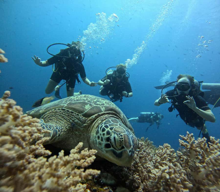 Discover Scuba Diving in the North of Mauritius - Learning the basics before entering the sea