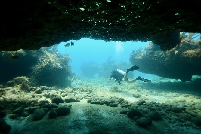 Discover Scuba Diving in Tulum - Why Casa Cenote makes a good first underwater experience
