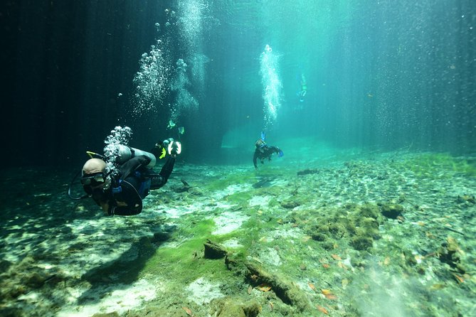 Discover Scuba Diving in Tulum - The 30-minute lesson and equipment fitting