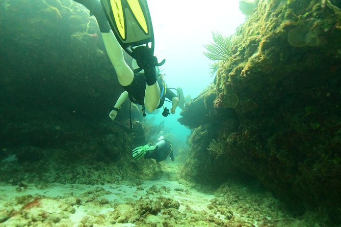 Discover Scuba Diving in Tulum - The people who make the biggest difference