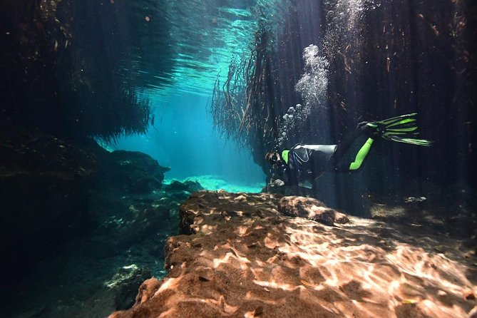 Discover Scuba Diving in Tulum - Who should book this Tulum activity?