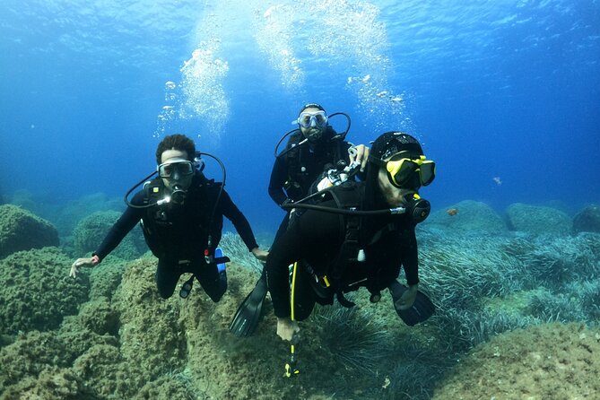 Discover Scuba diving in Villasimius - What you may see below five meters