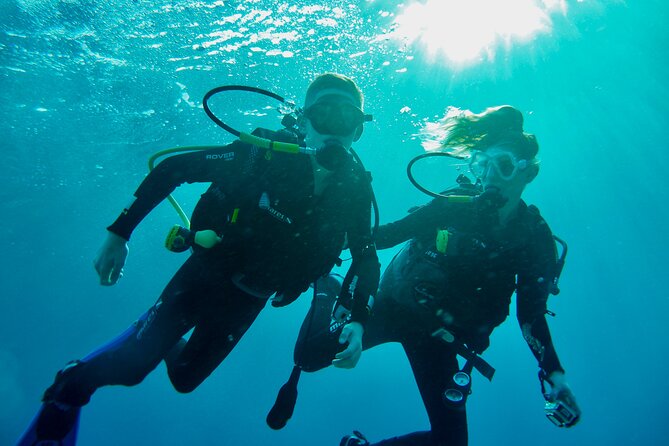 Discover Scuba Diving - Indroductory Dives - Key Points About This Eilat Scuba Experience