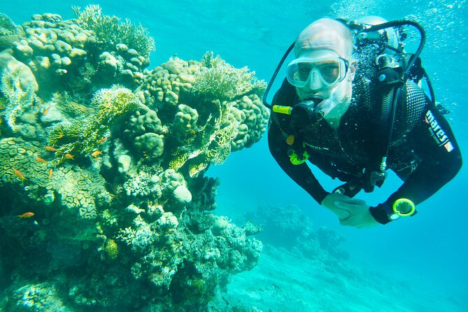 Discover Scuba Diving - Indroductory Dives - Entering the Underwater World for the First Time