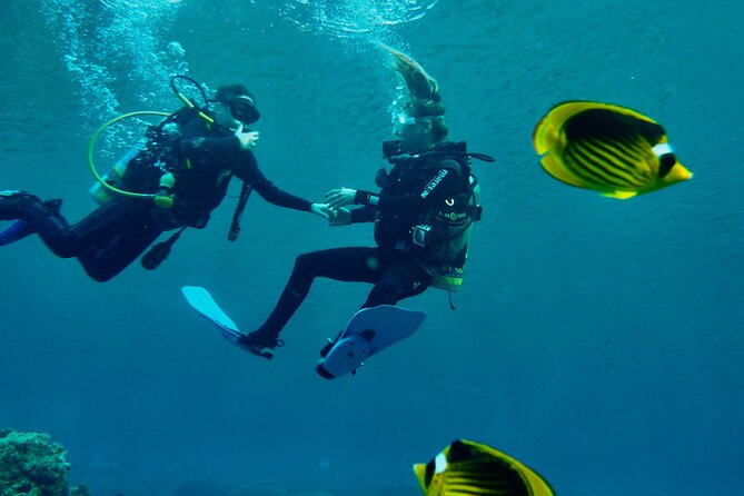 Discover Scuba Diving - Indroductory Dives - A Practical Plan for Your Three Hours