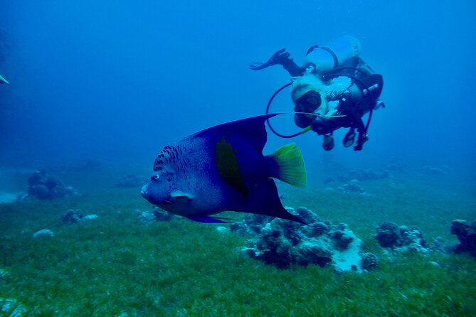 Discover Scuba Diving - Indroductory Dives - Booking, Cancellation, and Timing Advice