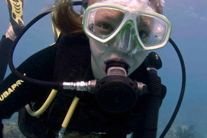 Discover Scuba Diving - One Tank at Coral Reef - Two hours that make beginners safer