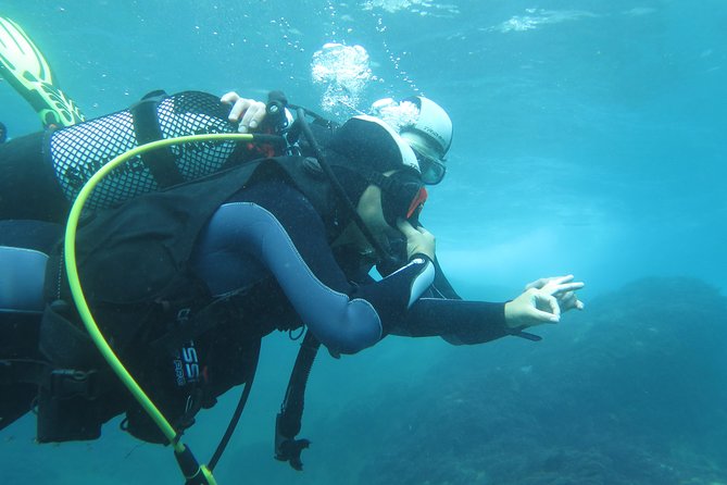 Discover Scuba Diving or Try dive - A private group changes the feel