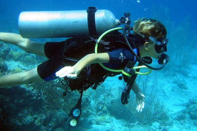 Discover Scuba Diving PADI in Playa del Carmen including underwater video - A gentle first step into scuba