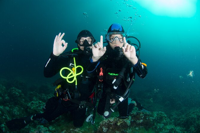 Discover Scuba Diving PADI - Trial dive in Sorrento - Key points before you book