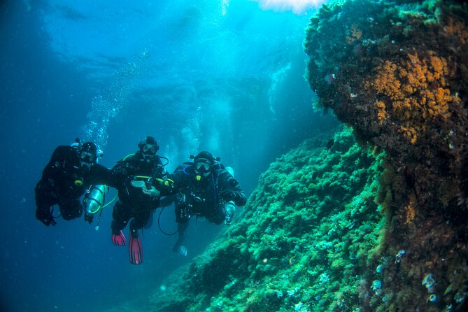 Discover Scuba Diving PADI - Trial dive in Sorrento - What this Sorrento scuba introduction really offers