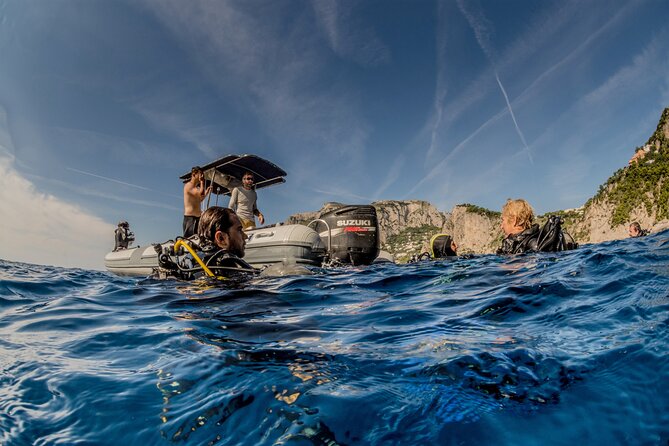 Discover Scuba Diving PADI - Trial dive in Sorrento - Is the $175.96 price fair?