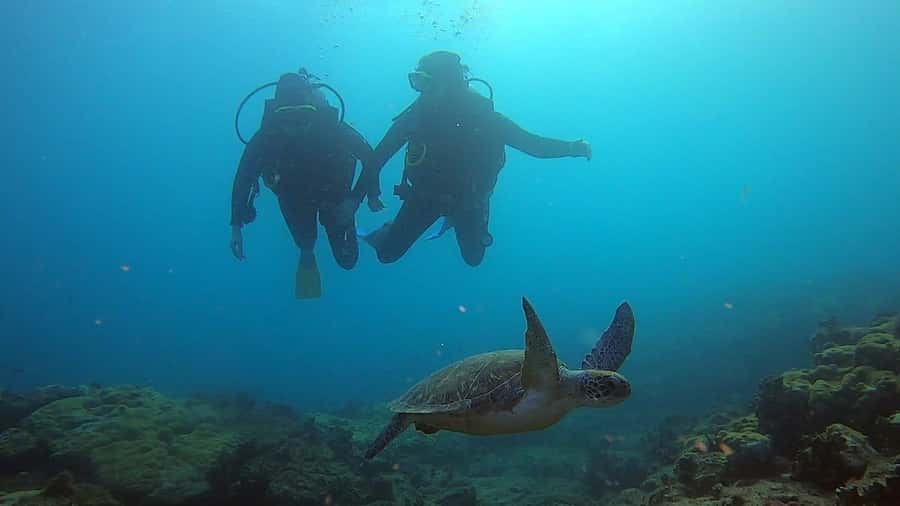 Discover Scuba Diving Program for Beginners - Shallow-water practice comes before open water