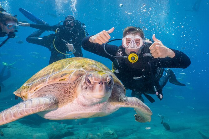 Discover Scuba Diving program: shore + boat dives - Key points to know before booking