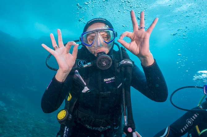 Discover Scuba Diving program: shore + boat dives - Starting at Aqua-Marina in Playa de las Américas