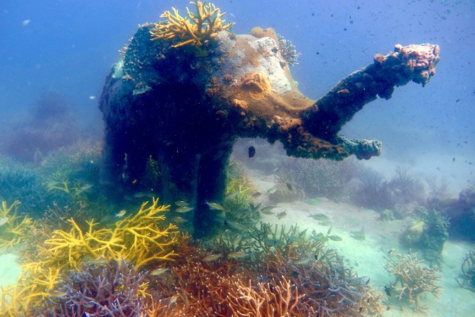 Discover Scuba Diving, try dive for beginners ( Start at Ko Kut) - Starting at BB Divers Koh Kood near Klong Chao