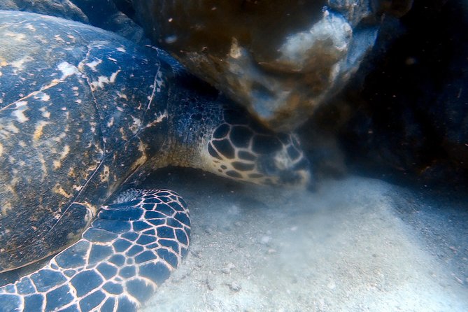 Discover Scuba Diving, try dive for beginners ( Start at Ko Kut) - Fitness, access, and comfort in the water