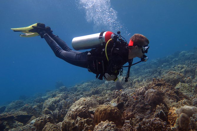 Discover Scuba diving, try diving for beginners (starts from Koh Chang) - Key points at a glance