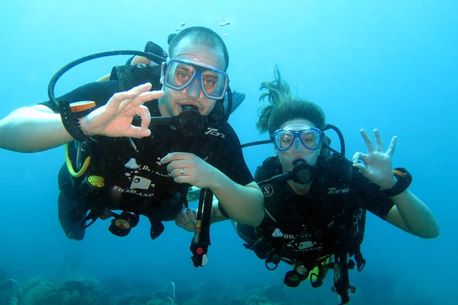 Discover Scuba diving, try diving for beginners (starts from Koh Chang) - A full eight-hour outing, with lunch included