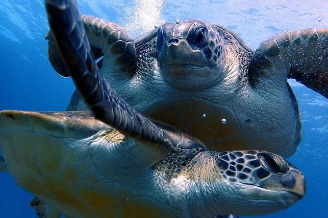 Discover Scuba Diving - Try it for the first time! - The Briefing and Equipment Setup